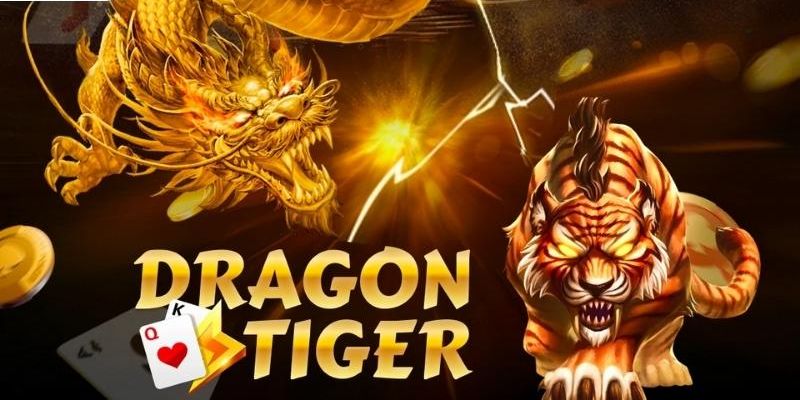 Tổng quan cách chơi thắng bài rồng hổ